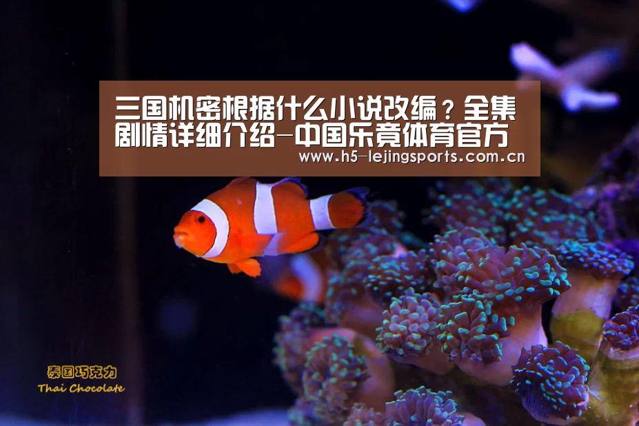 三国机密根据什么小说改编?全集剧情详细介绍-中国乐竟体育官方平台(图4) 乐竟体育官方