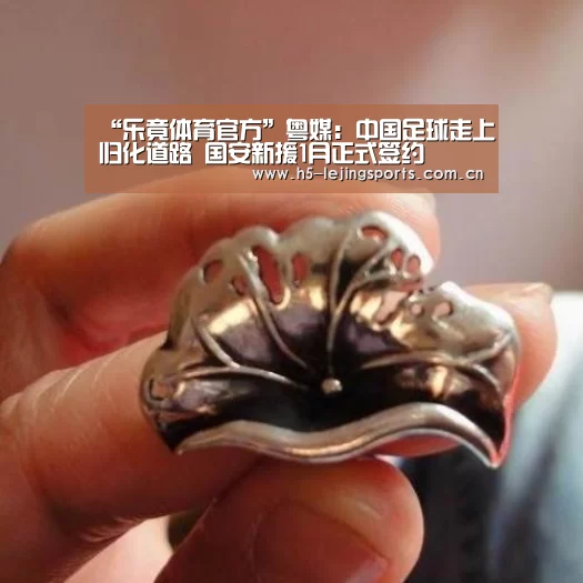 “乐竟体育官方”粤媒:中国足球走上归化道路 国安新援1月正式签约(图3) 乐竟体育官方