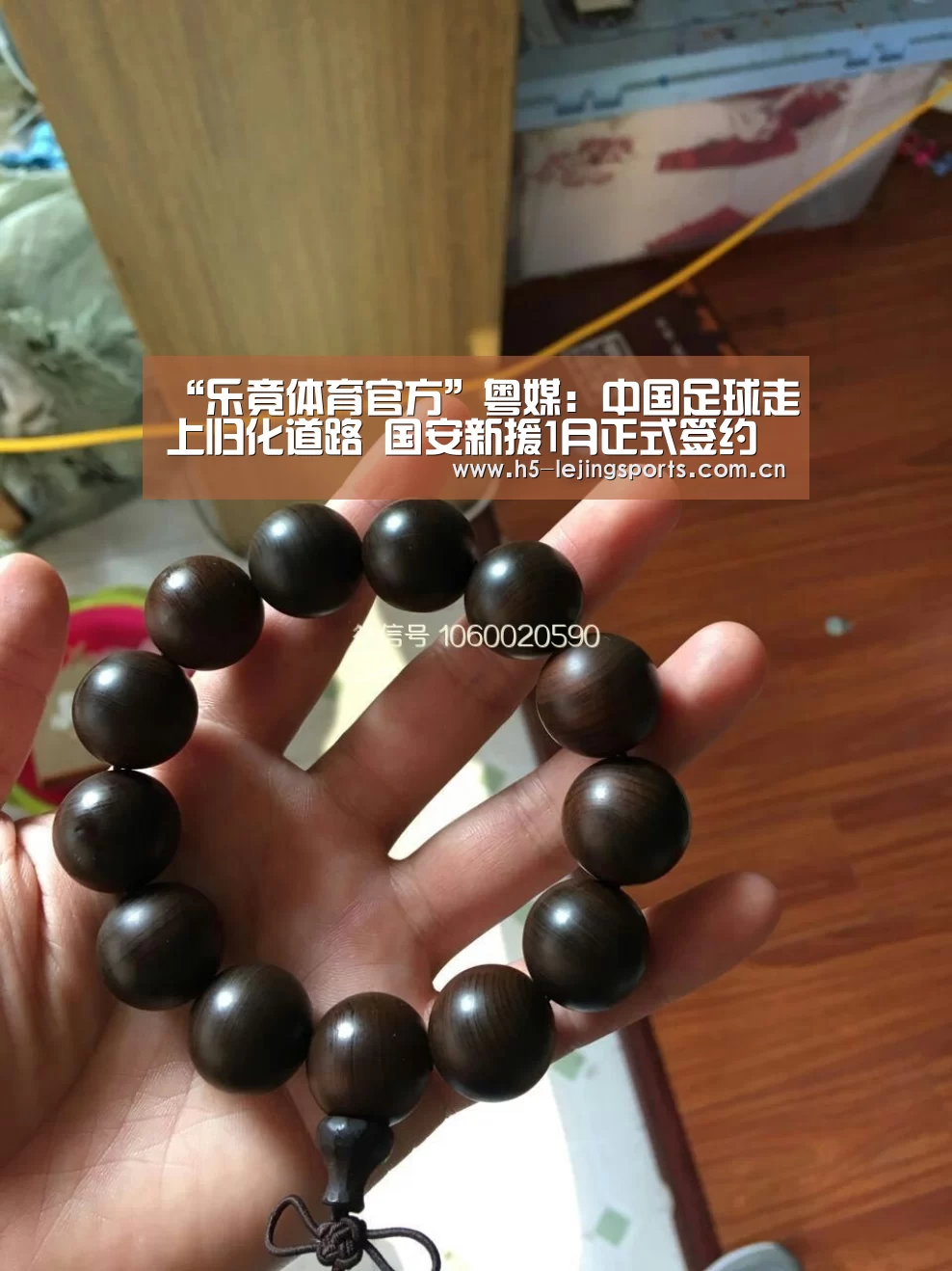 “乐竟体育官方”粤媒:中国足球走上归化道路 国安新援1月正式签约(图2) 乐竟体育官网