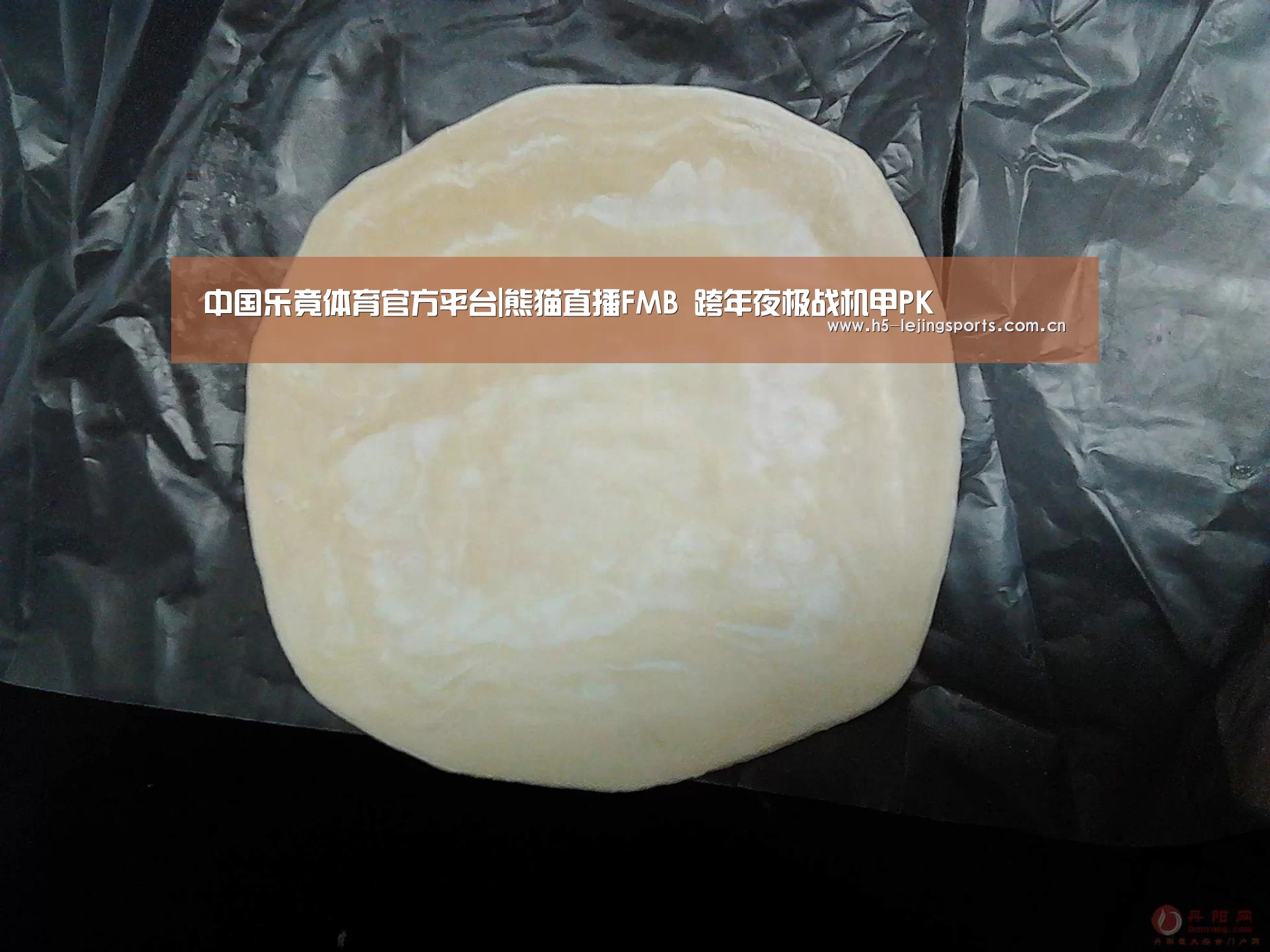 中国乐竟体育官方平台|熊猫直播FMB 跨年夜极战机甲PK(图2) 乐竟体育官方