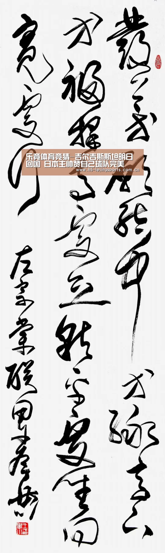 乐竟体育竞猜