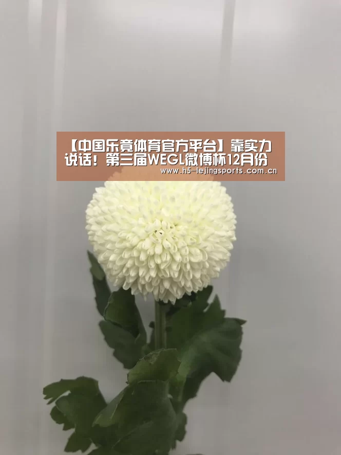 【中国乐竟体育官方平台】靠实力说话!第三届WEGL微博杯12月份打响(图2) 乐竟体育官网
