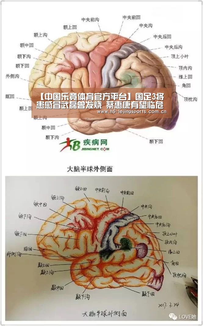乐竟体育官方